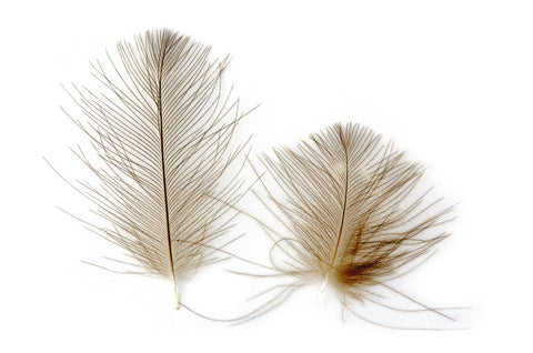 CDC Feathers SUPER SELECT (cul-de canard feathers)