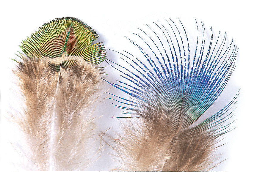 Peacock Blue Neck Feathers