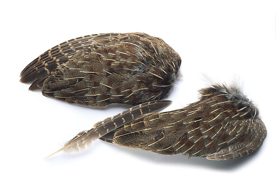 Partridge English Grey Whole Wings