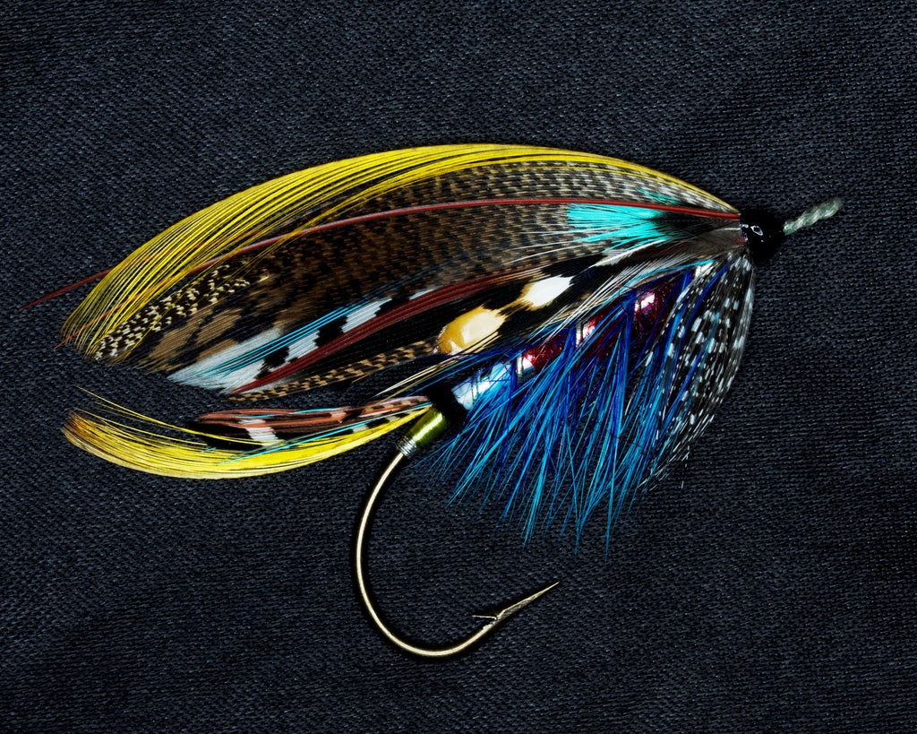COLOUR PRINT OF ROYAL FLY THE BALMORAL HIGHLANDER FISHING FLY FROM