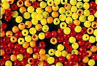 Firefly Hot Head Beads in assorted Colours & Sizes
